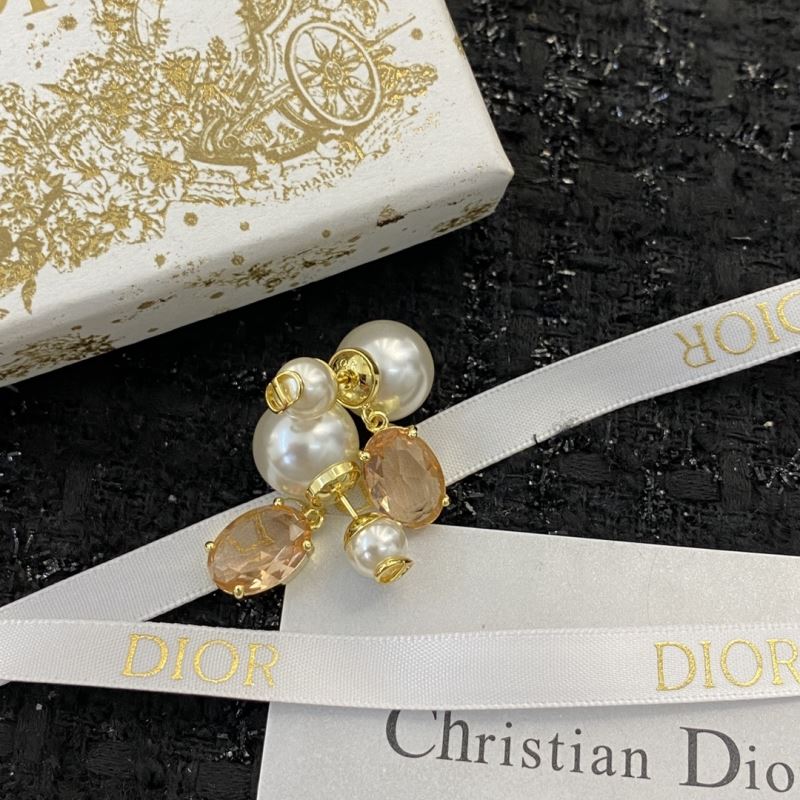 Christian Dior Earrings